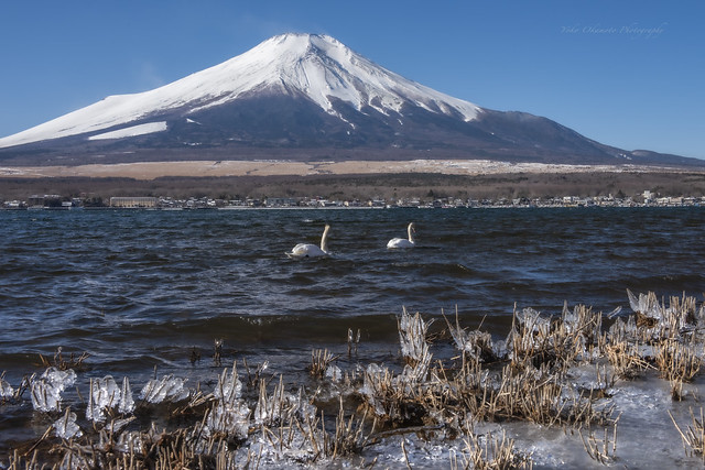 Fuji and Lake Yamanakako