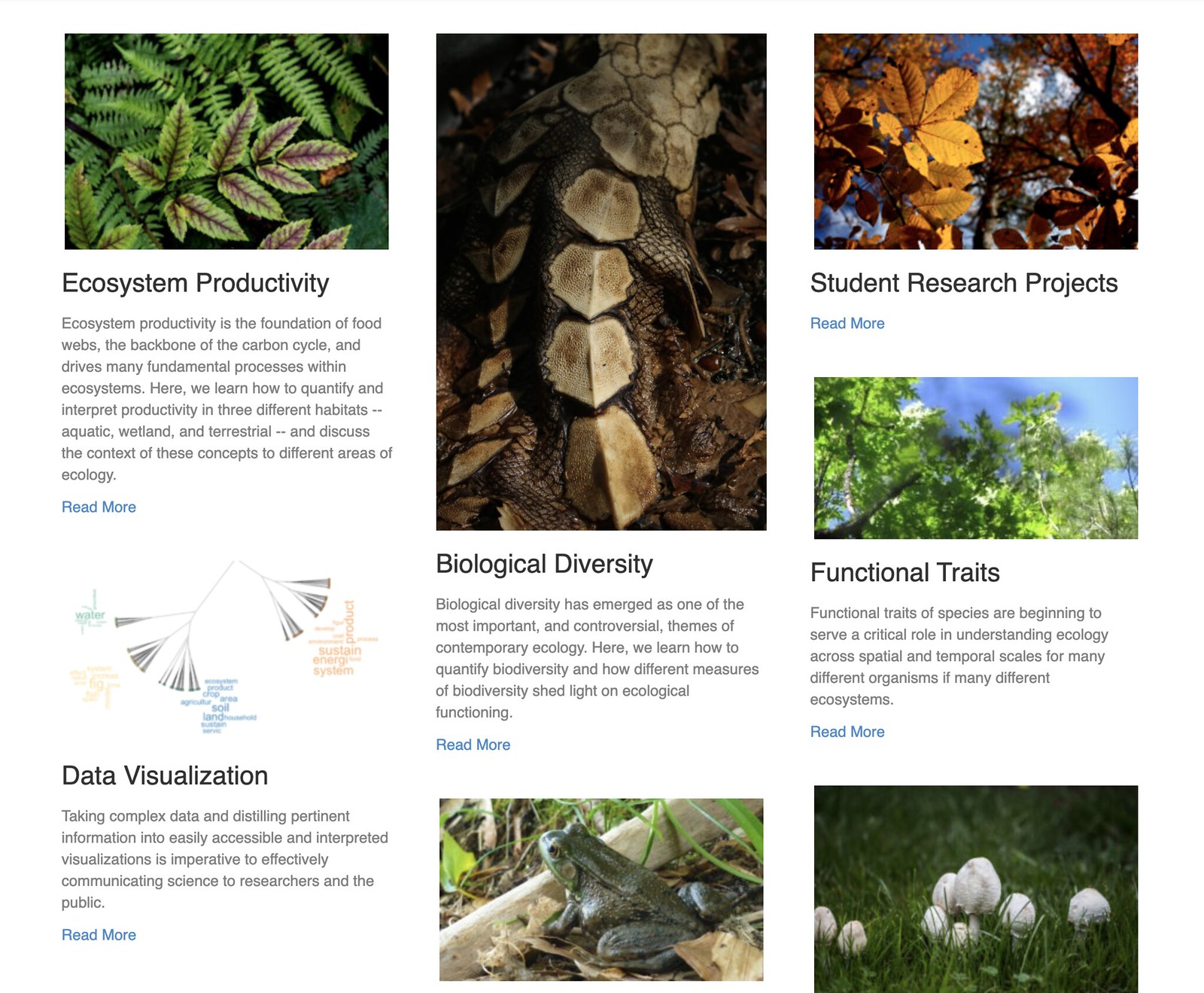 ecological techniques screenshot.
