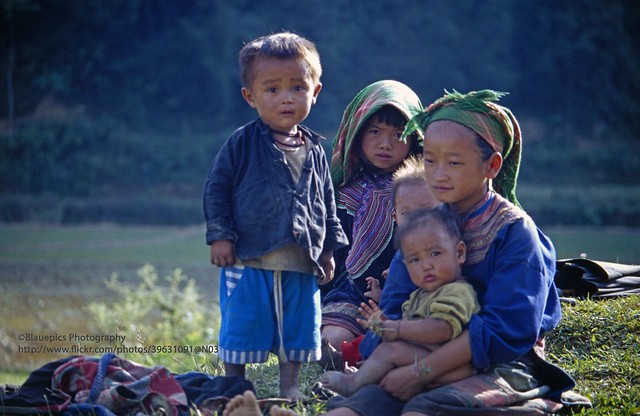 near Bac Ha, Ban Pho, Hmong farmer kids