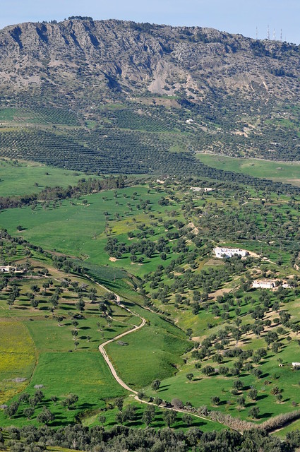 Vue sur le Djebel  Zalagh (902 m), Fès, Maroc.