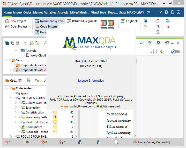 Working with MAXQDA Analytics Pro 2020 R20.4.0 full
