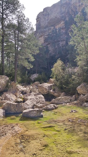 IMG_20210330_125704
