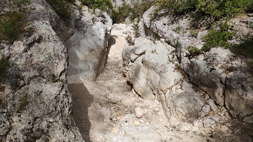 IMG_20210330_124617