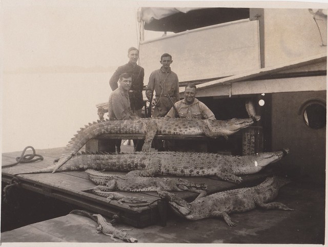 Kumai - Hunting Crocodiles, 1932