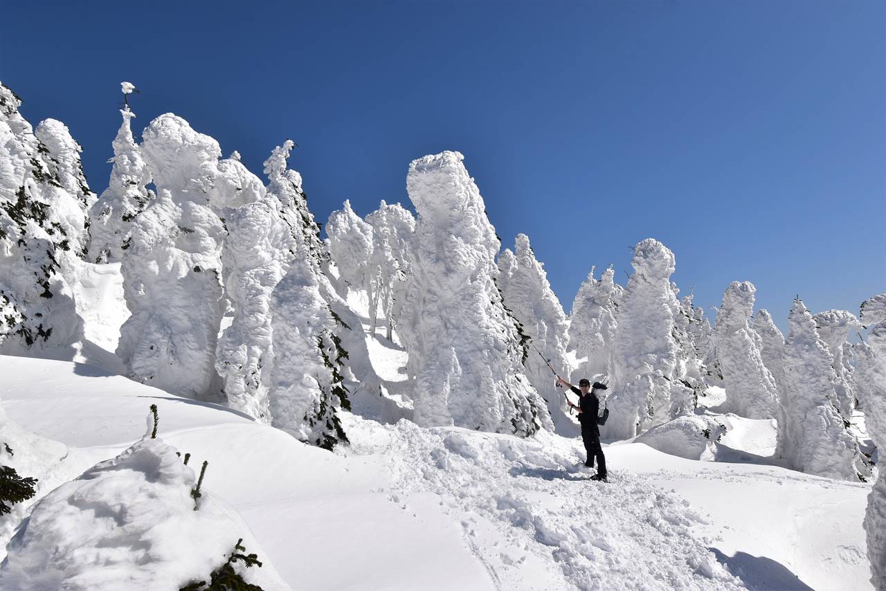 西吾妻山の樹氷・スノーモンスター