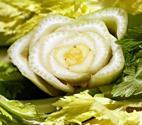 Celery. | by Gillian Floyd Photography