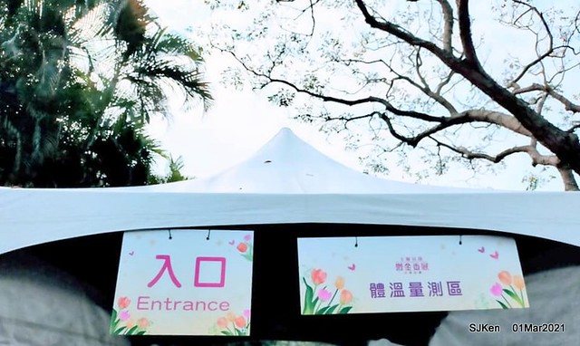 「2021士林官邸鬱金香展」(2021 Shilin Residence Tulip Show), Feb 25 ~ Mar 7, Taipei, Taiwan,SJKen, Mar 1,2021.
