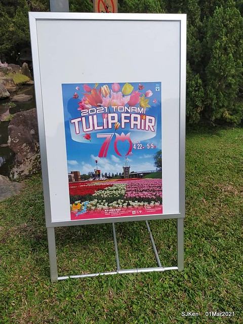 「2021士林官邸鬱金香展」(2021 Shilin Residence Tulip Show), Feb 25 ~ Mar 7, Taipei, Taiwan,SJKen, Mar 1,2021.