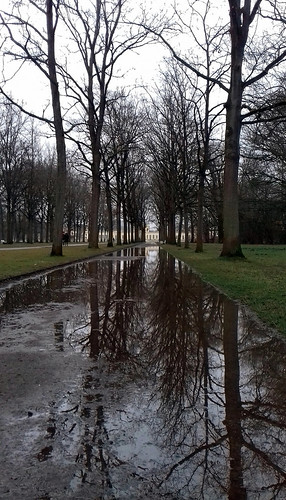 reflections by big fat grey cat, 63/365
paaah sorry crappy smartphone photo 😭
but I ran another half marathon spontaneously today an