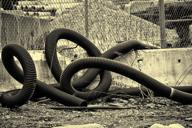 Discarded Hose