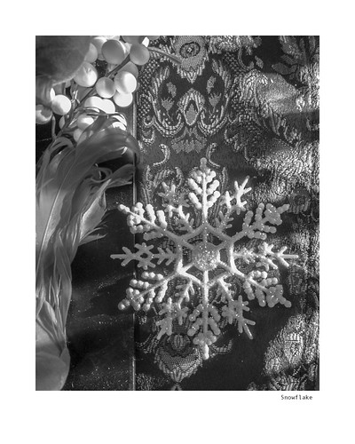 Snowflake | by agianelo