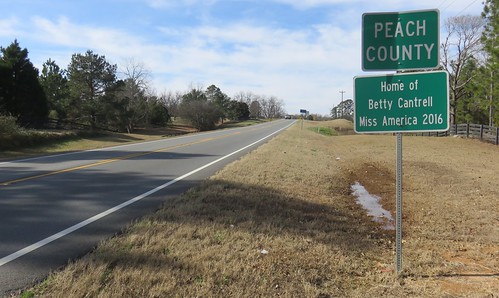 georgia ga countysigns statesigns landscapes peachcounty northamerica unitedstates us
