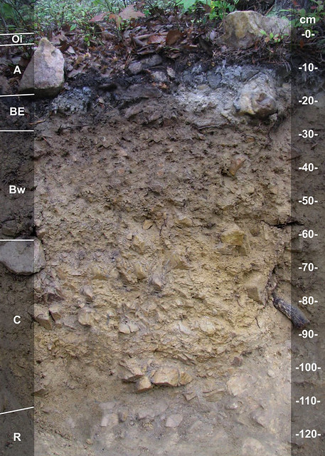 Marbleyard soil series