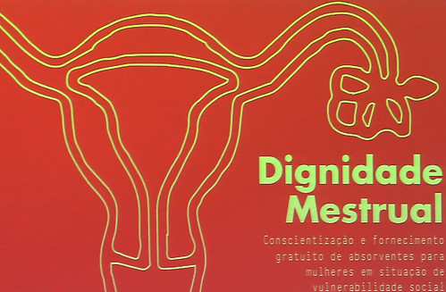 Audiência pública para debater sobre o tema: O impacto da pobreza na dignidade menstrual para mulheres que vivem em situação de vulnerabilidade do Município de Belo Horizonte - 4ª Reunião Ordinária - Comissão de Mulheres