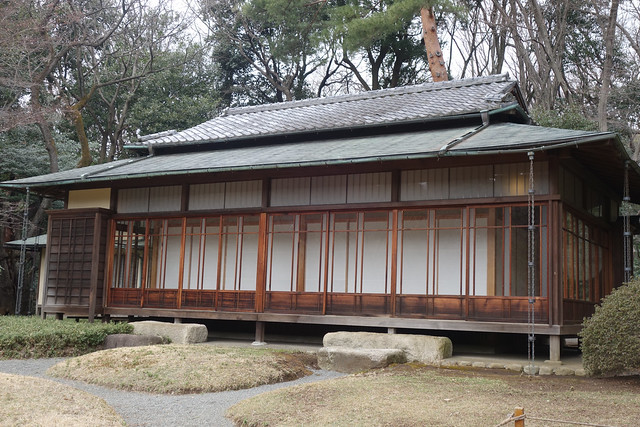 Meiji Shrine 2016
