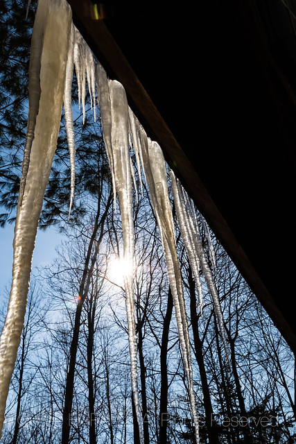 Icicles on a House in Michigan