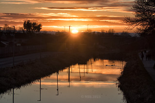Royal Canal Sunset, Maynooth, Co. Kildare