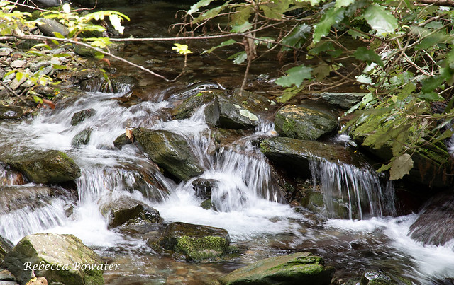 Waterfall on the Brook River