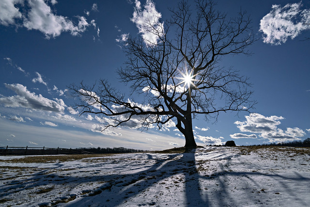 Alone In The Snow (in explore)