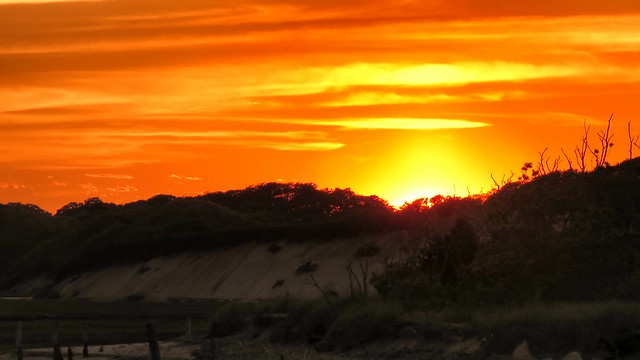 Marshland Sunset