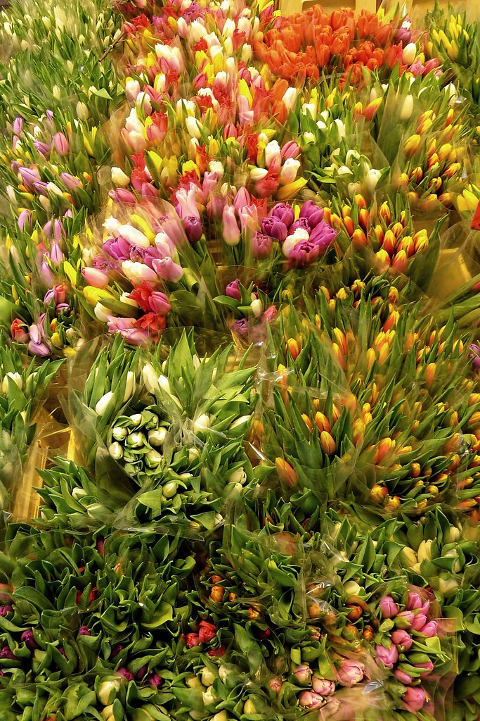 Vårtecken på Hötorget - Signs of Spring on Flower Market - (Explored)