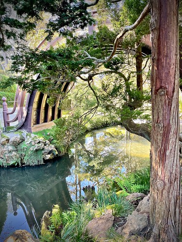 drumbridge bridge moonbridge japanesegarden japaneseteagarden goldengatepark sanfrancisco stream reflection