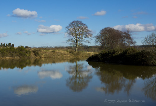 Springtime Reflections | by steve_whitmarsh