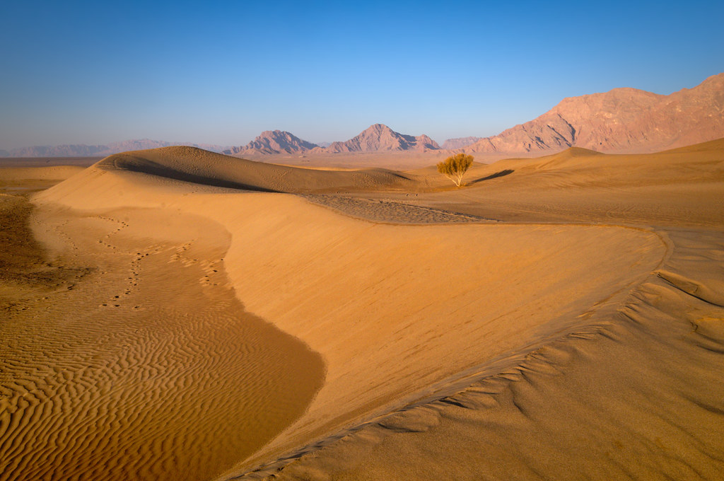 Ветер в пустыне. Desert Beauty Premium.