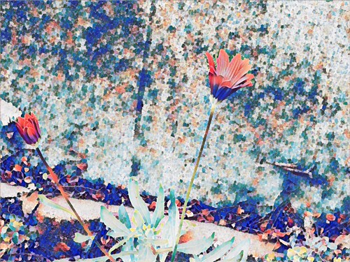 Two flowers abstract | by mysplotchy