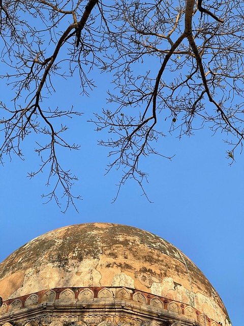 City Season - Leafless Tree, Lodhi Garden