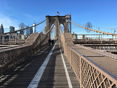 The Brooklyn Bridge in Brown and Blue