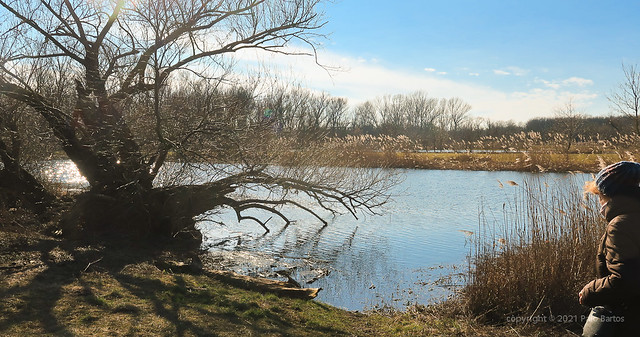 021Feb 28: Late Winter Morava River Alluvium