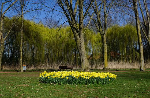 Spring - Frühling im  Eper Stadtgarten 2021