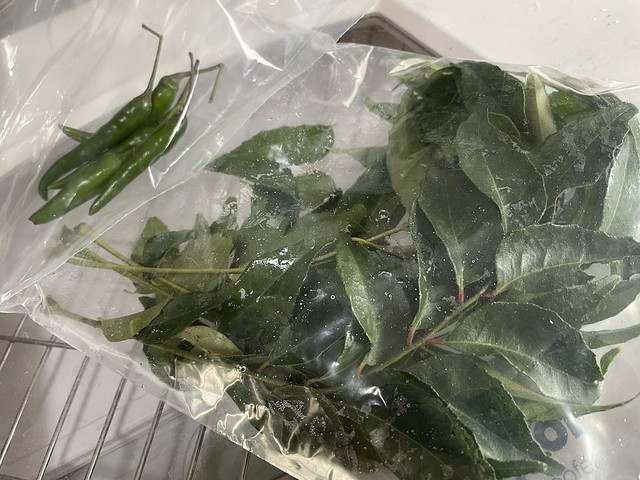 Curry leaves / Green chilis
