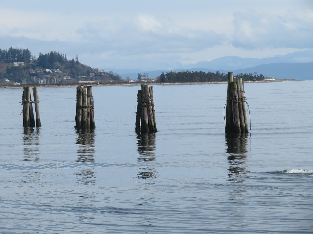 A view of the spit in Comox.