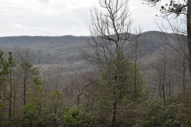 Pisgah Forest- North Carolina