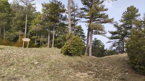 IMG_20210330_112038