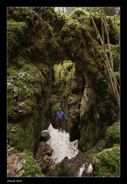 Arche rocheux du Puits n°2 de la Forêt du Jura  - Gevresin