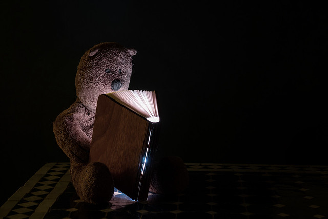 Reading bear