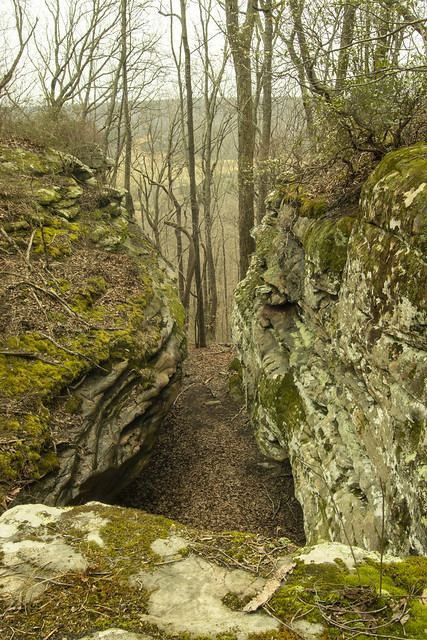 Above Low Gap Arch, Dog Cove SNA, White County, Tennessee
