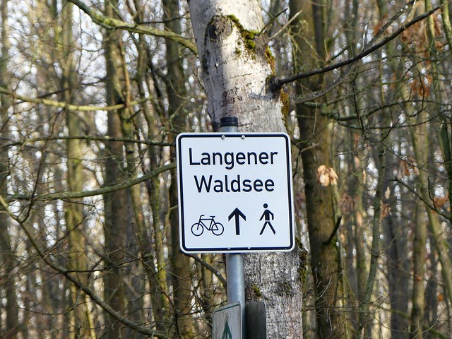 Langener Waldsee