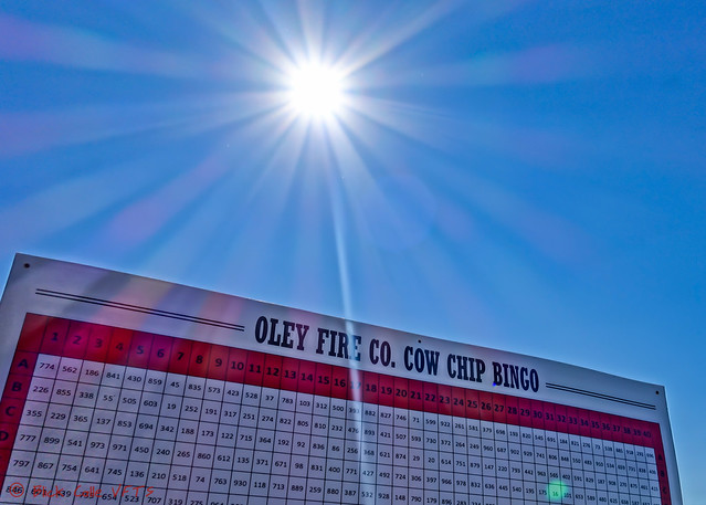 Cow Chip Bingo Grid