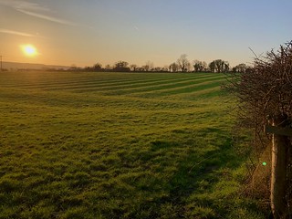 Medieval ridge and furrow field at twilight