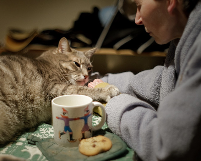 Milk and cookies with mom