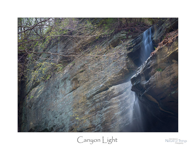 Canyon Light