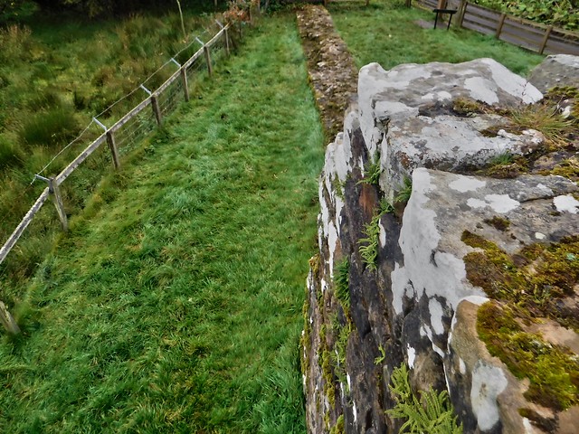 Hadrians Wall, MC35, Harehill Curtain Wall Section (4)