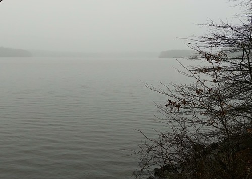 fdh2021 lakeannastatepark lake fog