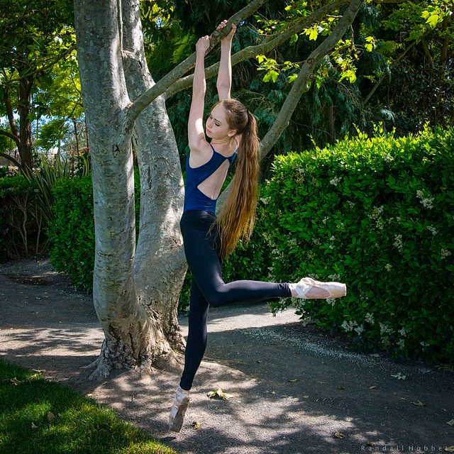 Dances with trees