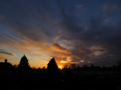 sunset nature sky colours blue outside clouds trees houses garden goole yorkshire micro 43 four thirds light silhouettes