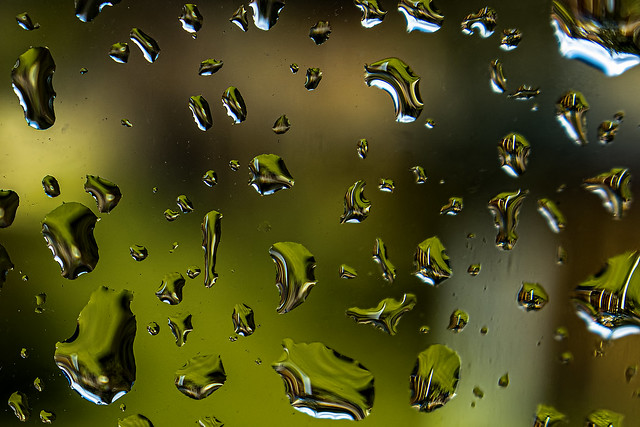 Rain droplets on a window